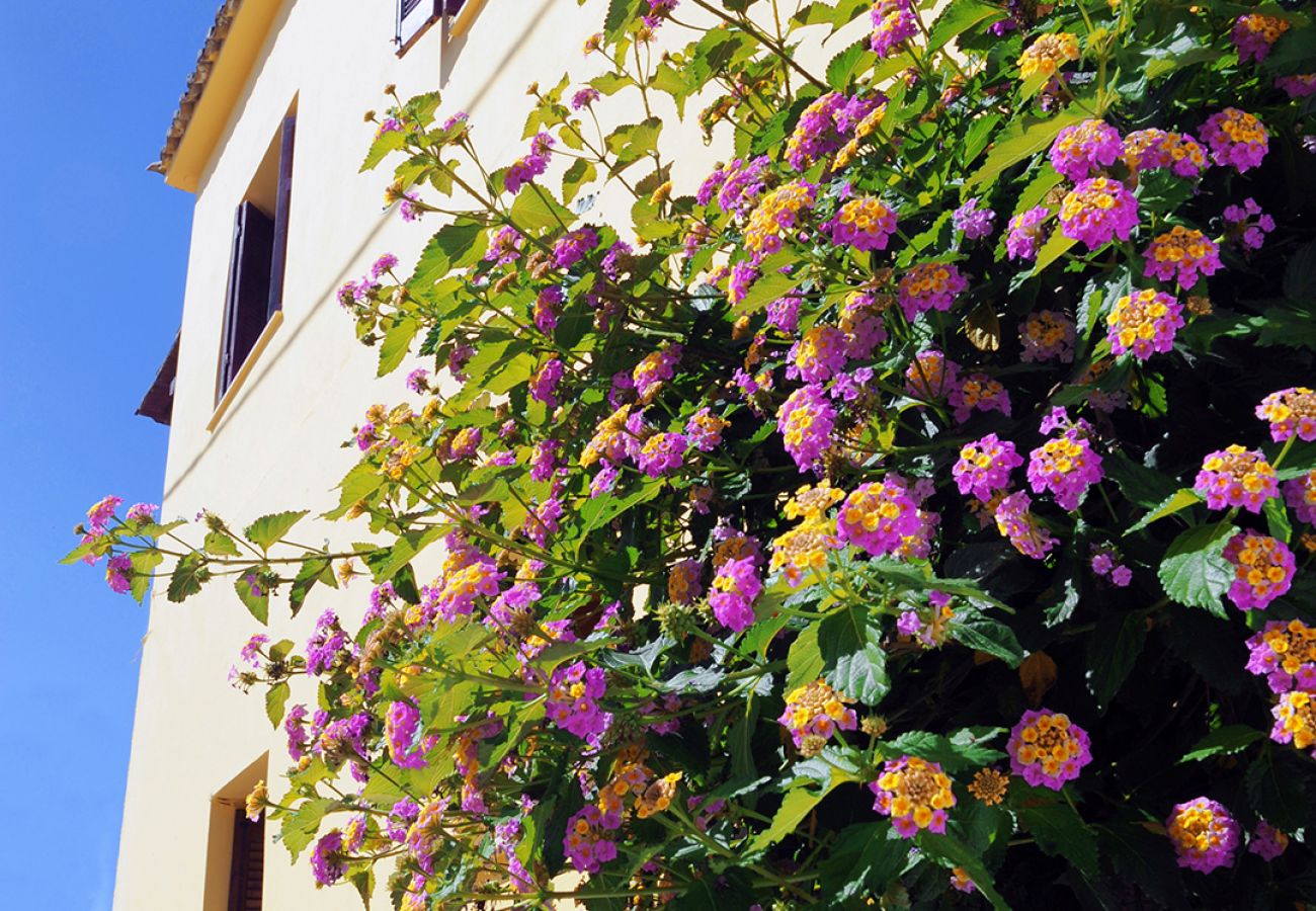 House in Antiperni - Traditional Greek Maisonette in Antiperni village
